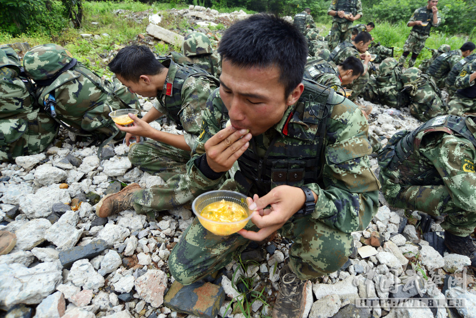 4949澳门免费资料大全年,最新分析解释落实_2024款 2.2T 舒适版 国VZGG9944