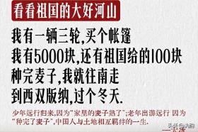 2024新奥今晚开什么，效率资料解释落实：“麦子阿姨”说：“种完麦子我就往南走”背后隐藏着怎样的故事？  