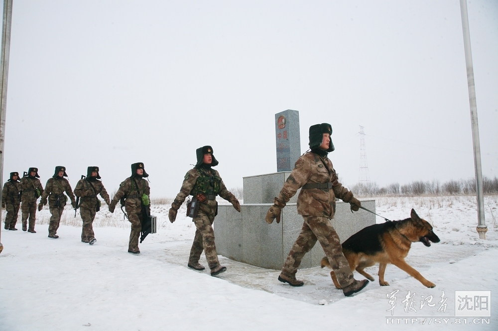 一肖一码免费,系统评估说明_2024款 2.0T 两驱尊悦版 国VILNM4911