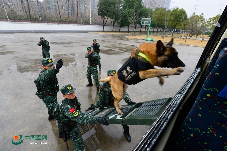 今天澳门特马开的什么波绝,系统评估说明_2024款 1.5L 自动金钻版EOP8873