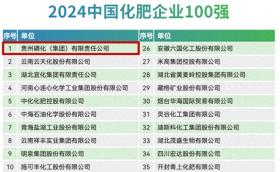 2024中国化肥企业100强榜首再度花落贵州磷化集团